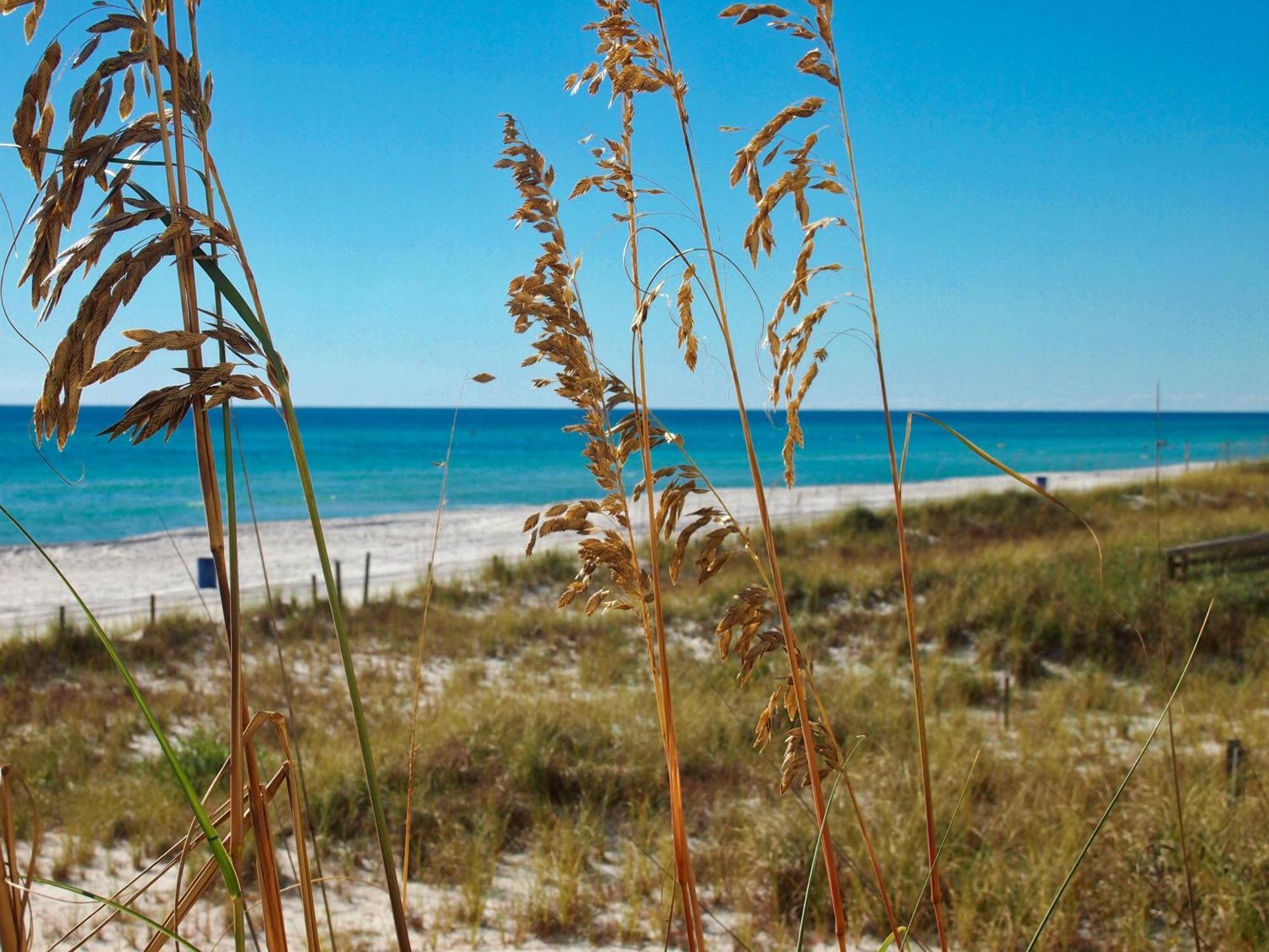 Ocean Reef 802 *